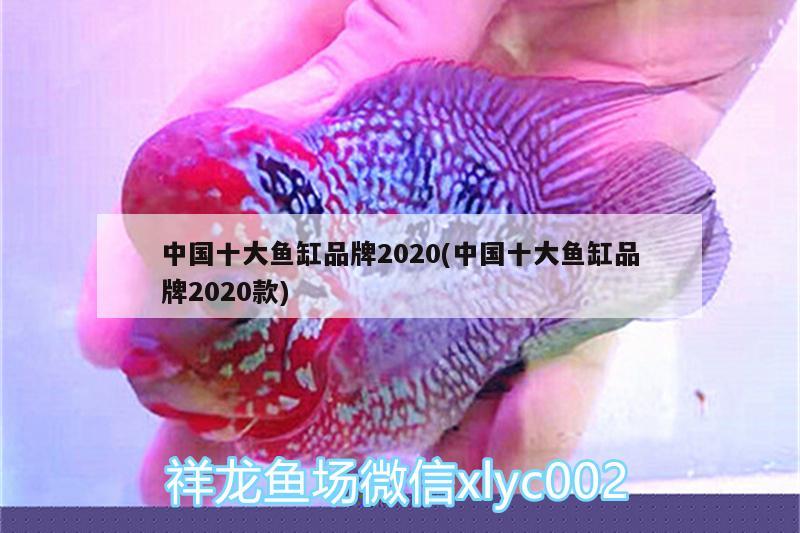 中國十大魚缸品牌2020(中國十大魚缸品牌2020款)