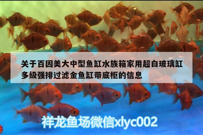 關(guān)于百因美大中型魚缸水族箱家用超白玻璃缸多級(jí)強(qiáng)排過濾金魚缸帶底柜的信息 魚缸/水族箱