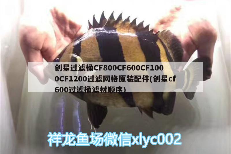 創(chuàng)星過(guò)濾桶CF800CF600CF1000CF1200過(guò)濾網(wǎng)格原裝配件(創(chuàng)星cf600過(guò)濾桶濾材順序)