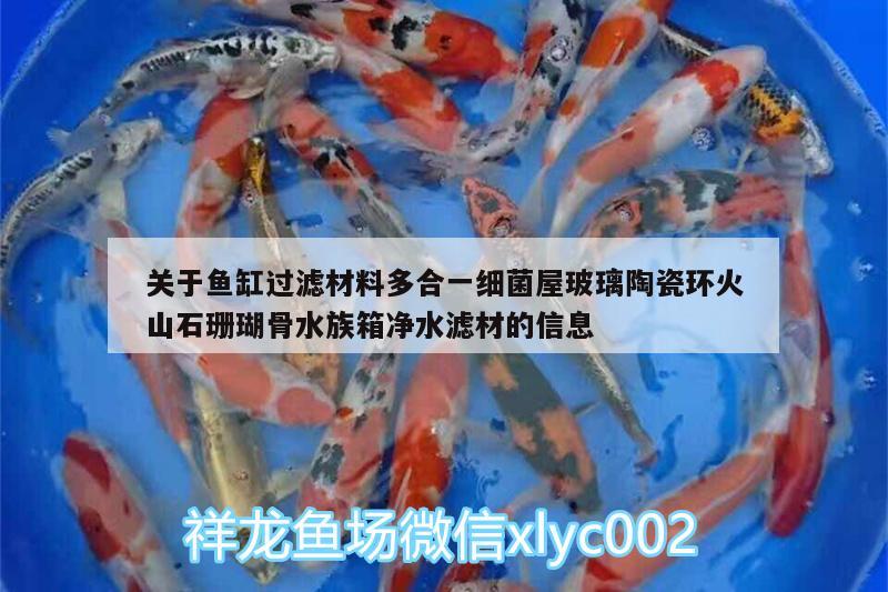 關(guān)于魚缸過濾材料多合一細(xì)菌屋玻璃陶瓷環(huán)火山石珊瑚骨水族箱凈水濾材的信息 魚缸/水族箱