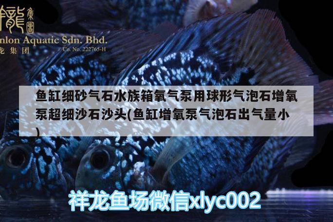 魚缸細砂氣石水族箱氧氣泵用球形氣泡石增氧泵超細沙石沙頭(魚缸增氧泵氣泡石出氣量小)