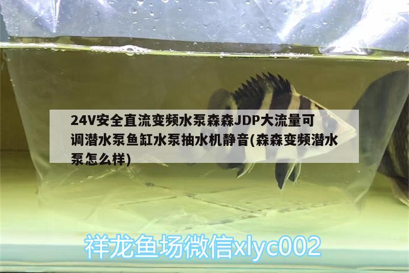 24V安全直流變頻水泵森森JDP大流量可調(diào)潛水泵魚缸水泵抽水機(jī)靜音(森森變頻潛水泵怎么樣)