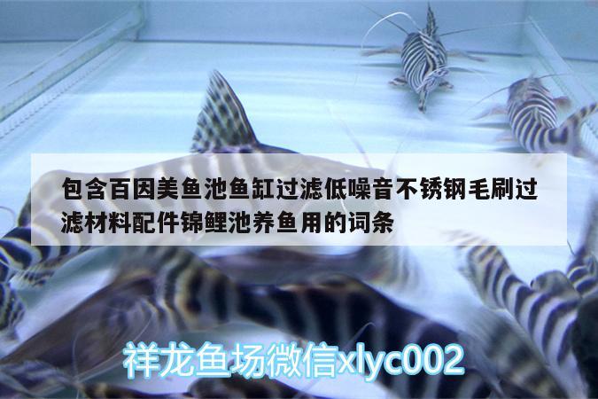 包含百因美魚池魚缸過濾低噪音不銹鋼毛刷過濾材料配件錦鯉池養(yǎng)魚用的詞條