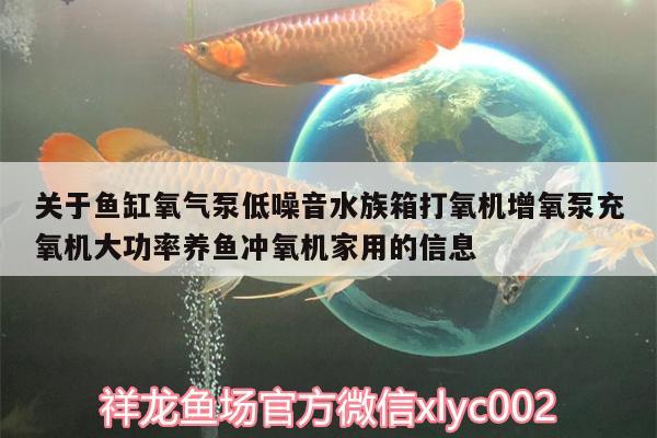 關(guān)于魚缸氧氣泵低噪音水族箱打氧機(jī)增氧泵充氧機(jī)大功率養(yǎng)魚沖氧機(jī)家用的信息