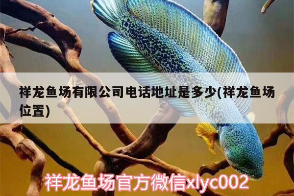 祥龍魚場有限公司電話地址是多少(祥龍魚場位置)