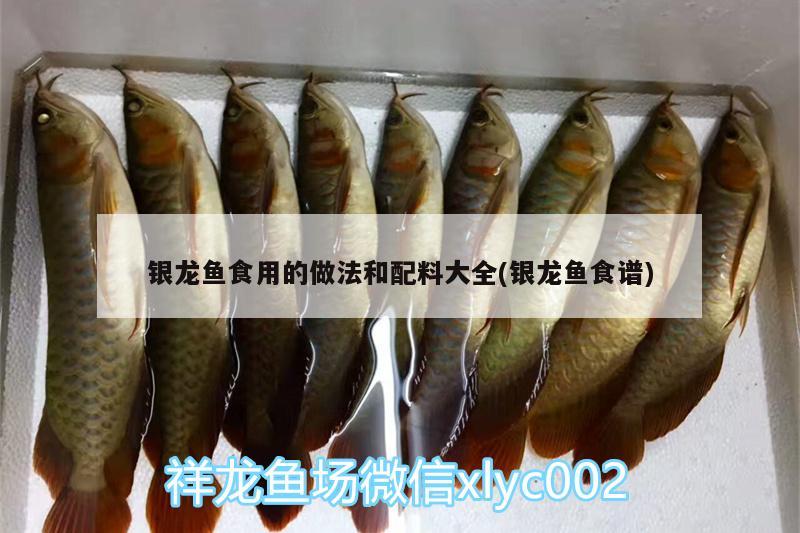 銀龍魚食用的做法和配料大全(銀龍魚食譜)