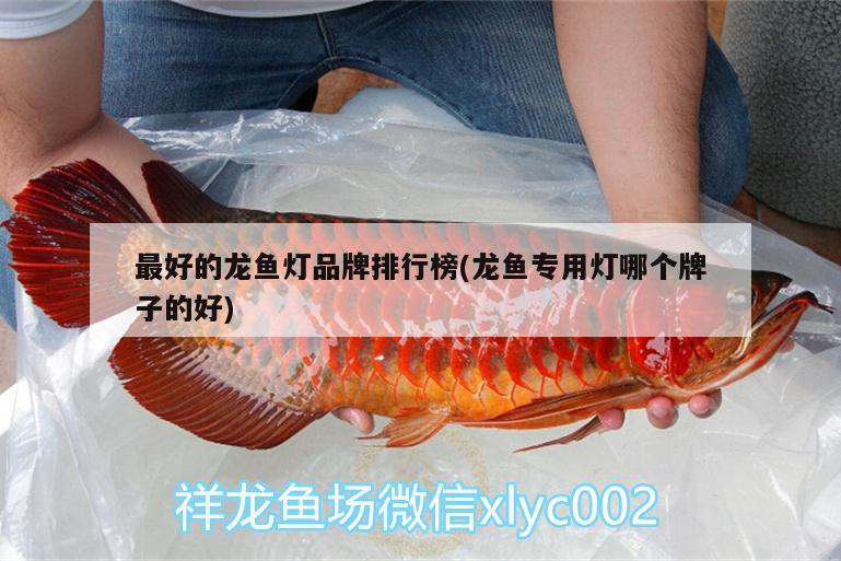 最好的龍魚燈品牌排行榜(龍魚專用燈哪個牌子的好)