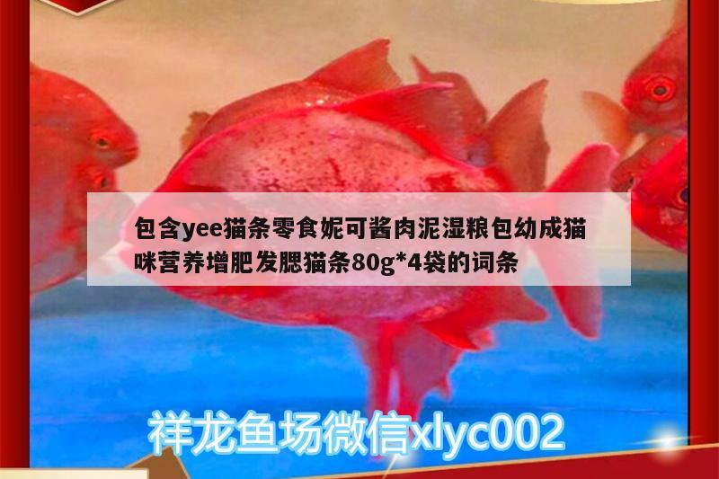 包含yee貓條零食妮可醬肉泥濕糧包幼成貓咪營養(yǎng)增肥發(fā)腮貓條80g*4袋的詞條