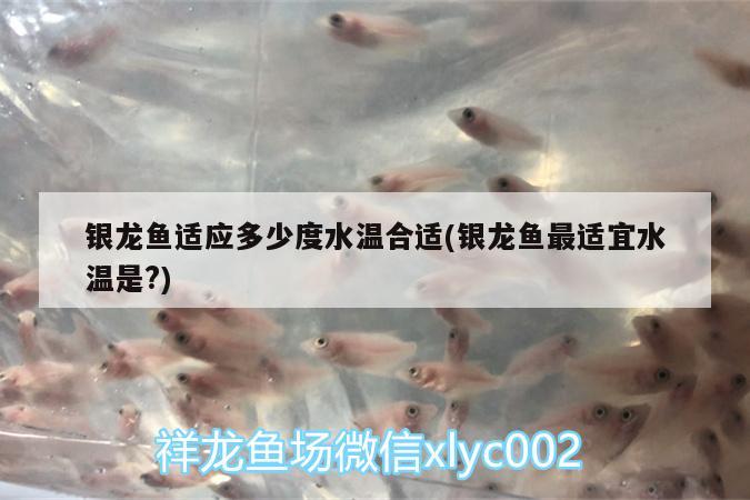 銀龍魚適應(yīng)多少度水溫合適(銀龍魚最適宜水溫是?) 銀龍魚百科