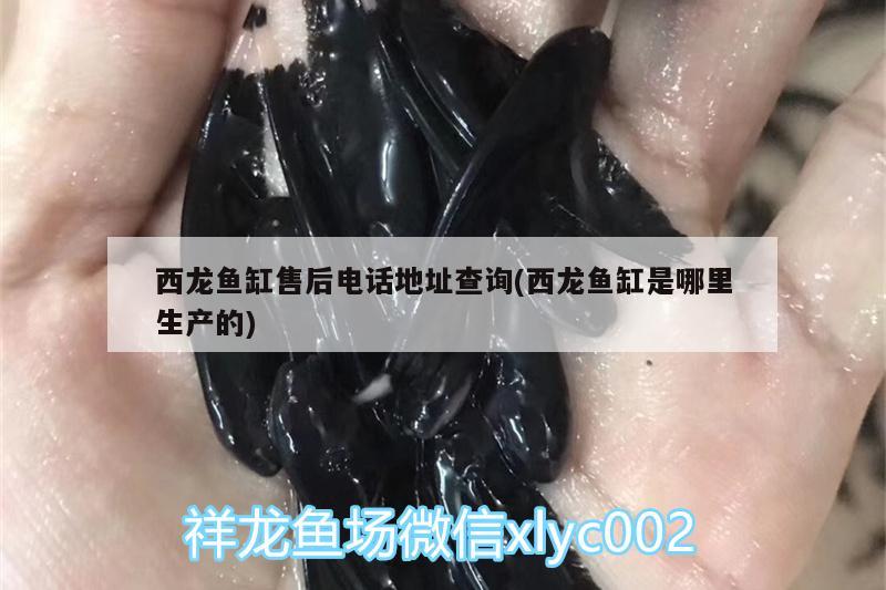 西龍魚缸售后電話地址查詢(西龍魚缸是哪里生產(chǎn)的) 充氧泵