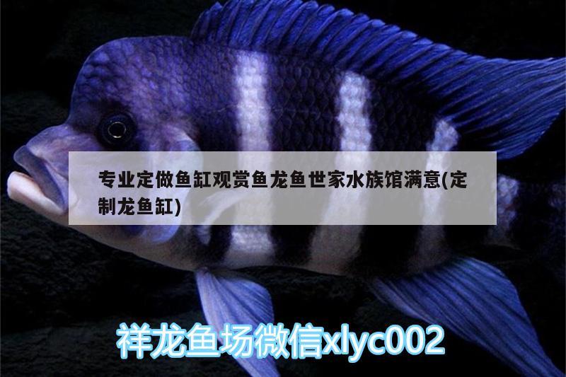 專業(yè)定做魚缸觀賞魚龍魚世家水族館滿意(定制龍魚缸)