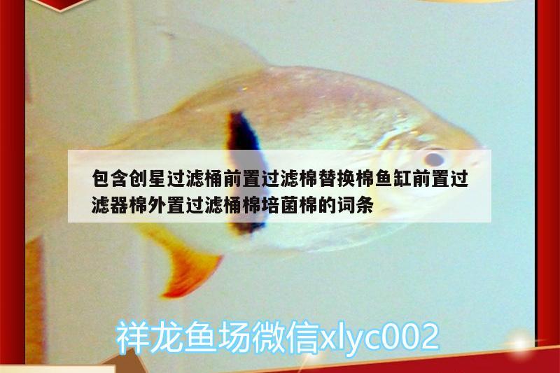 包含創(chuàng)星過濾桶前置過濾棉替換棉魚缸前置過濾器棉外置過濾桶棉培菌棉的詞條 球鯊魚