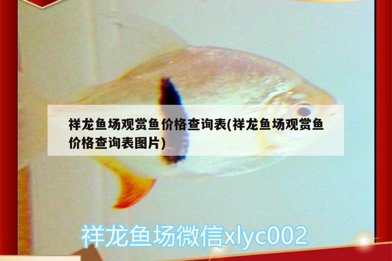 祥龍魚場觀賞魚價(jià)格查詢表(祥龍魚場觀賞魚價(jià)格查詢表圖片)