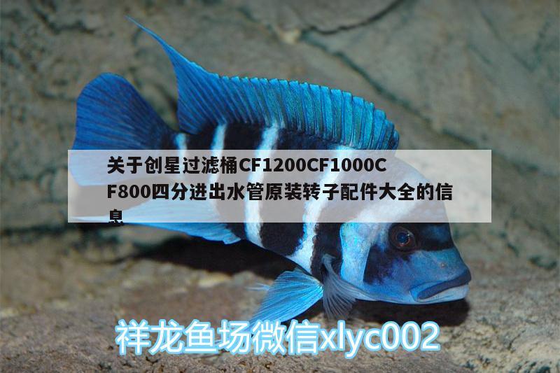 關(guān)于創(chuàng)星過濾桶CF1200CF1000CF800四分進出水管原裝轉(zhuǎn)子配件大全的信息 朱巴利魚苗