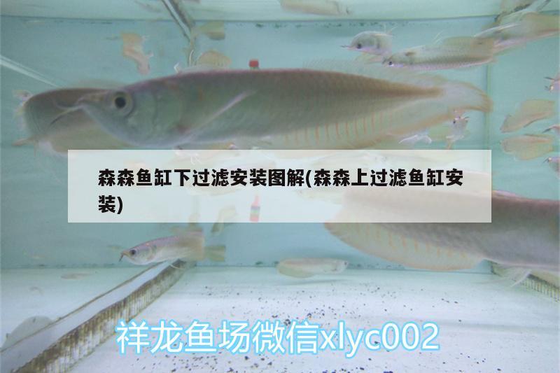 森森魚(yú)缸下過(guò)濾安裝圖解(森森上過(guò)濾魚(yú)缸安裝)