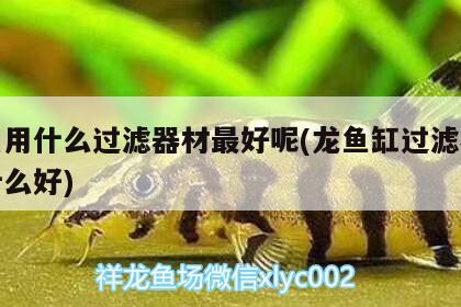 龍魚用什么過濾器材最好呢(龍魚缸過濾材料用什么好) 祥龍傳奇品牌魚缸