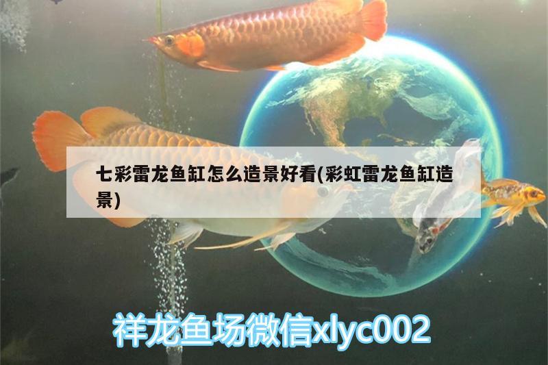 七彩雷龍魚缸怎么造景好看(彩虹雷龍魚缸造景) 杰西卡恐龍魚