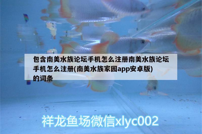 包含南美水族論壇手機怎么注冊南美水族論壇手機怎么注冊(南美水族家園app安卓版)的詞條