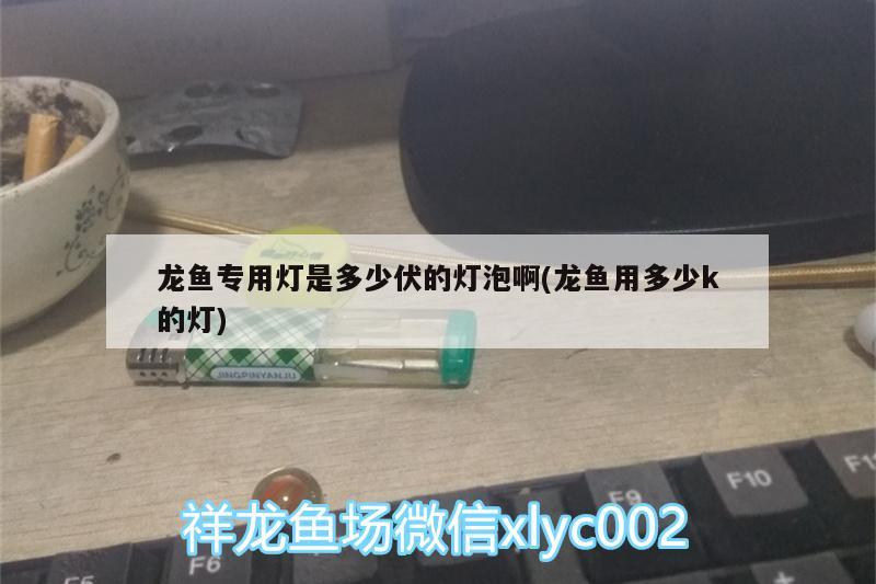 龍魚專用燈是多少伏的燈泡啊(龍魚用多少k的燈)