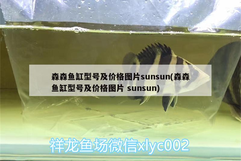 森森魚缸型號(hào)及價(jià)格圖片sunsun(森森魚缸型號(hào)及價(jià)格圖片sunsun)