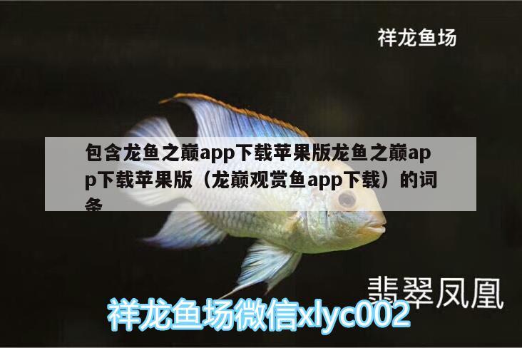 包含龍魚之巔app下載蘋果版龍魚之巔app下載蘋果版（龍巔觀賞魚app下載）的詞條