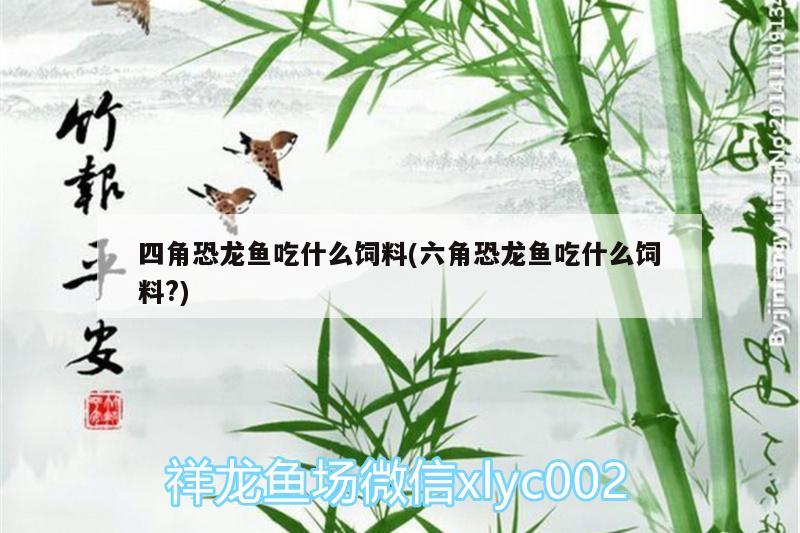 四角恐龍魚吃什么飼料(六角恐龍魚吃什么飼料?)