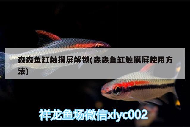 森森魚缸觸摸屏解鎖(森森魚缸觸摸屏使用方法) 白子球鯊魚