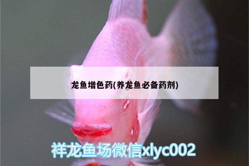 龍魚增色藥(養(yǎng)龍魚必備藥劑) 魚缸風(fēng)水