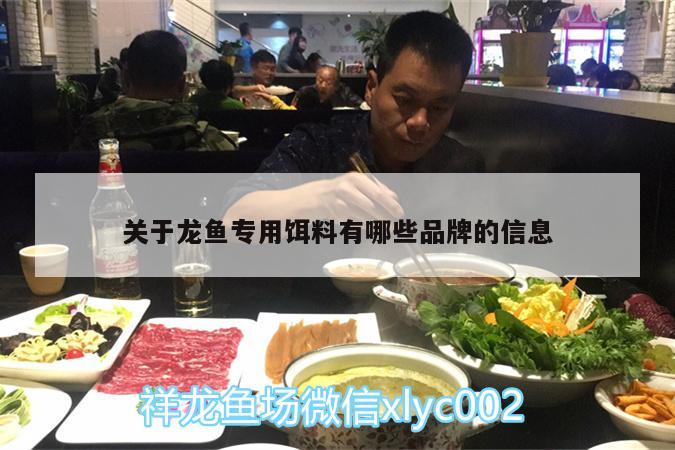 關于龍魚專用餌料有哪些品牌的信息