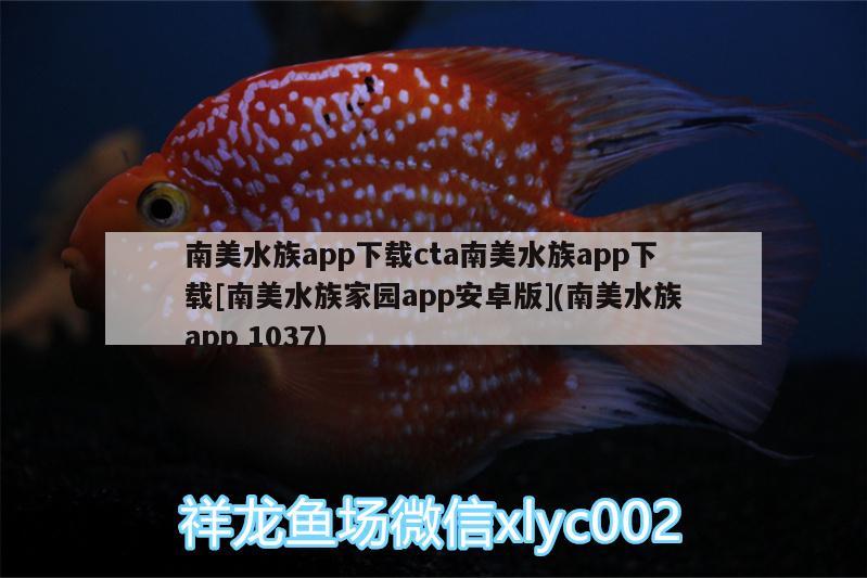 南美水族app下載cta南美水族app下載[南美水族家園app安卓版](南美水族app1037) 魚缸清潔用具