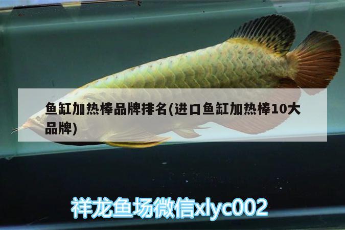 魚缸加熱棒品牌排名(進口魚缸加熱棒10大品牌) 女王大帆魚苗