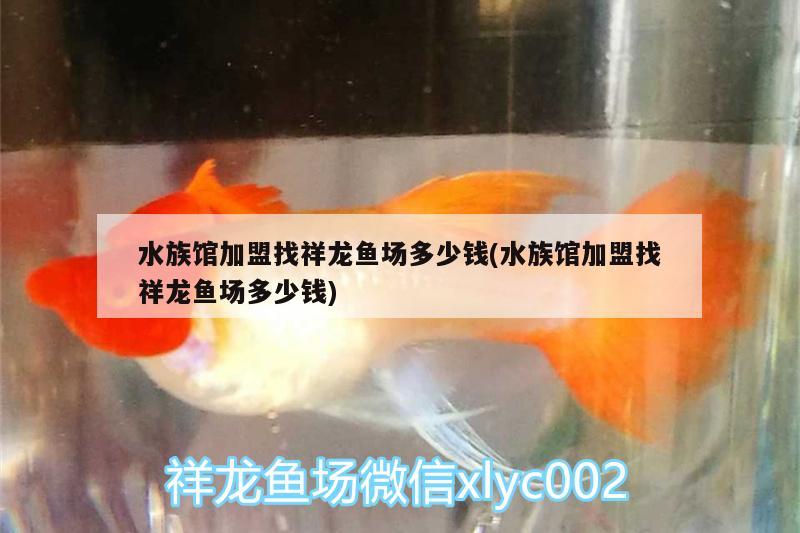 水族館加盟找祥龍魚(yú)場(chǎng)多少錢(qián)(水族館加盟找祥龍魚(yú)場(chǎng)多少錢(qián)) 祥龍魚(yú)場(chǎng)