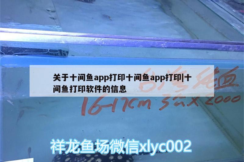 關(guān)于十間魚app打印十間魚app打印|十間魚打印軟件的信息