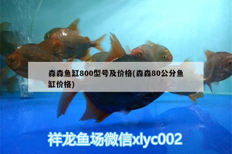 森森魚(yú)缸800型號(hào)及價(jià)格(森森80公分魚(yú)缸價(jià)格)