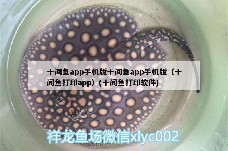 十間魚app手機(jī)版十間魚app手機(jī)版（十間魚打印app）(十間魚打印軟件)