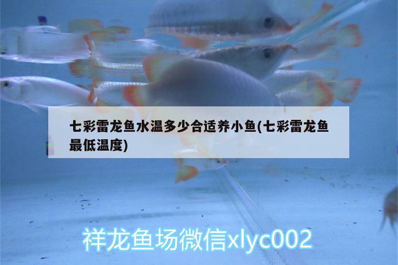 七彩雷龍魚水溫多少合適養(yǎng)小魚(七彩雷龍魚最低溫度)