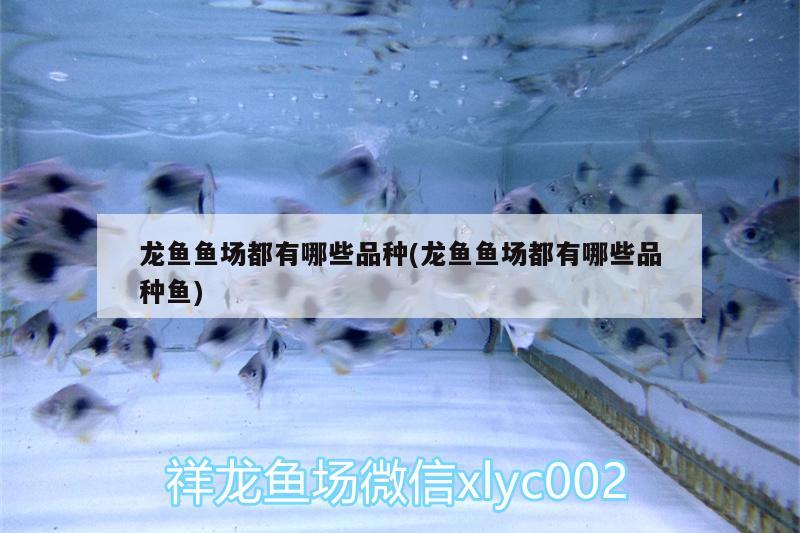 龍魚魚場都有哪些品種(龍魚魚場都有哪些品種魚) 祥龍水族護理水