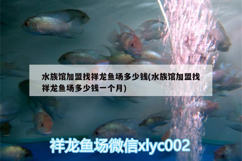 水族館加盟找祥龍魚(yú)場(chǎng)多少錢(水族館加盟找祥龍魚(yú)場(chǎng)多少錢一個(gè)月)