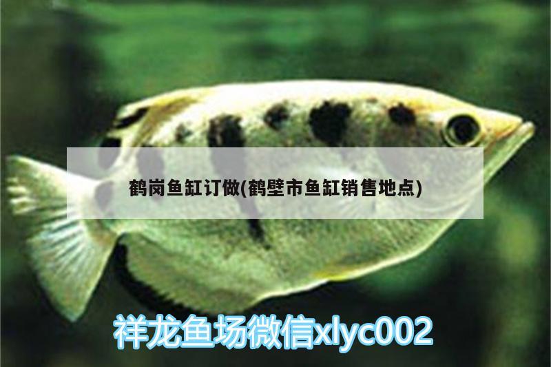 鶴崗魚缸訂做(鶴壁市魚缸銷售地點)