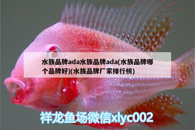 水族品牌ada水族品牌ada(水族品牌哪個(gè)品牌好)(水族品牌廠家排行榜)