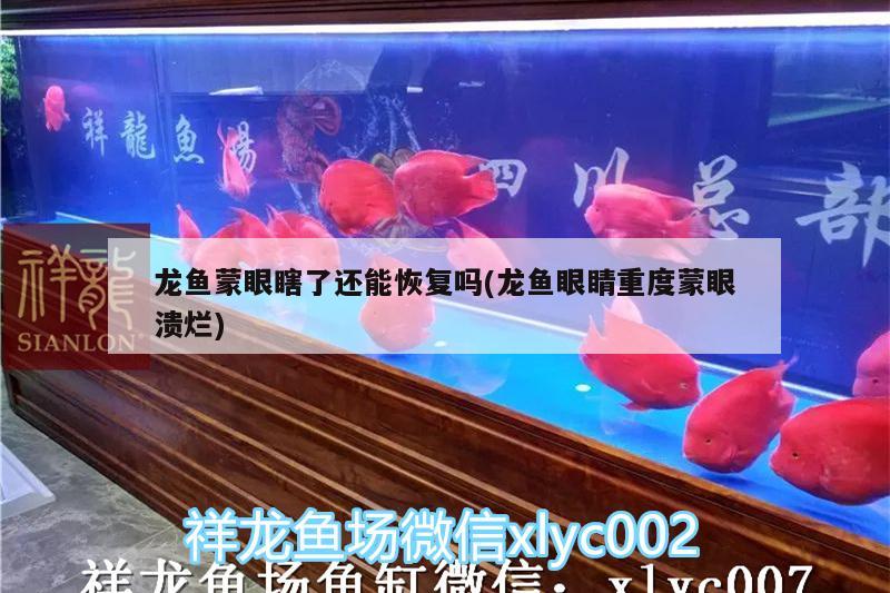 龍魚(yú)蒙眼瞎了還能恢復(fù)嗎(龍魚(yú)眼睛重度蒙眼潰爛)