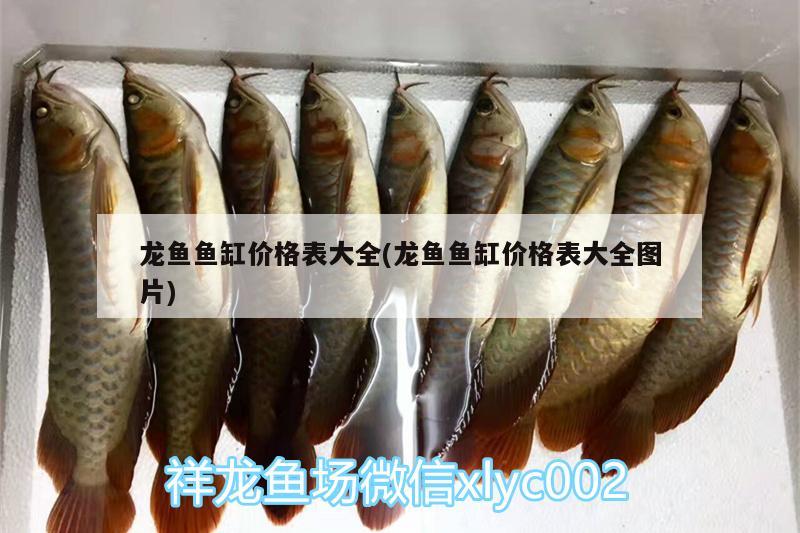 龍魚魚缸價格表大全(龍魚魚缸價格表大全圖片)