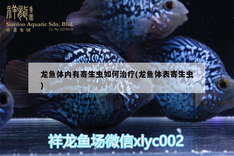 龍魚體內(nèi)有寄生蟲如何治療(龍魚體表寄生蟲)