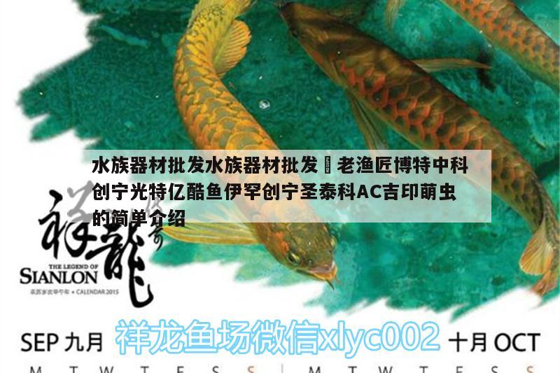 水族器材批發(fā)水族器材批發(fā)?老漁匠博特中科創(chuàng)寧光特億酷魚伊罕創(chuàng)寧圣泰科AC吉印萌蟲的簡(jiǎn)單介紹 伊罕水族