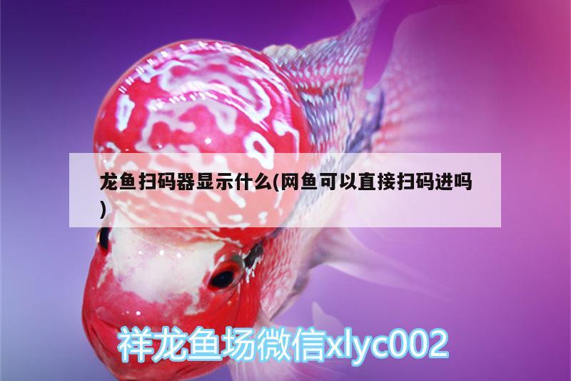 龍魚掃碼器顯示什么(網(wǎng)魚可以直接掃碼進(jìn)嗎) 招財(cái)戰(zhàn)船魚