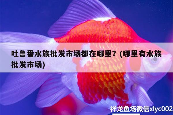 吐魯番水族批發(fā)市場(chǎng)都在哪里？(哪里有水族批發(fā)市場(chǎng)) 觀賞魚(yú)水族批發(fā)市場(chǎng)