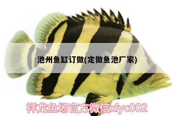 池州魚缸訂做(定做魚池廠家) 星點金龍魚