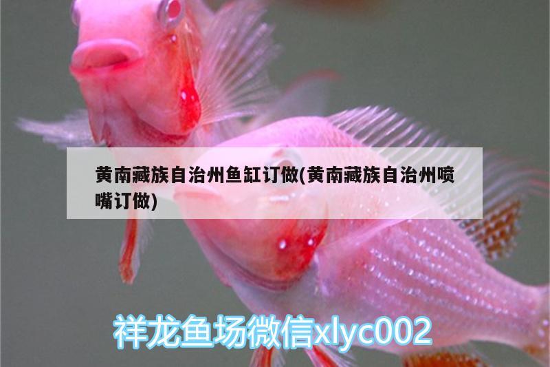 黃南藏族自治州魚缸訂做(黃南藏族自治州噴嘴訂做)