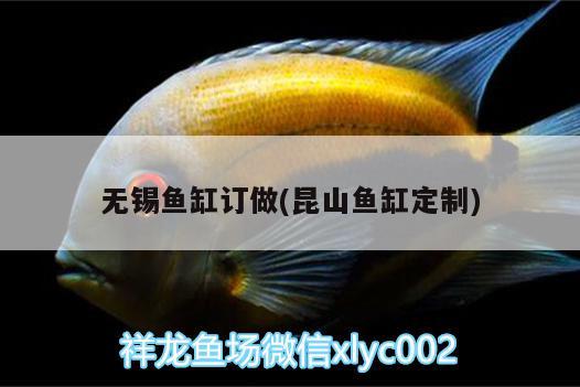 無錫魚缸訂做(昆山魚缸定制) 水族用品