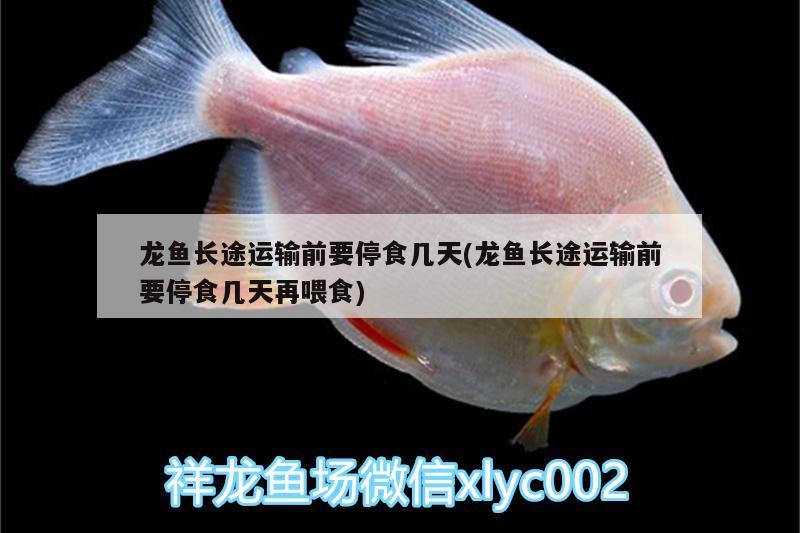 龍魚長途運輸前要停食幾天(龍魚長途運輸前要停食幾天再喂食)